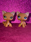 RARE LPS #525 Puzzle Set Exclusive — Matching Pair (Standard & Green Variant)