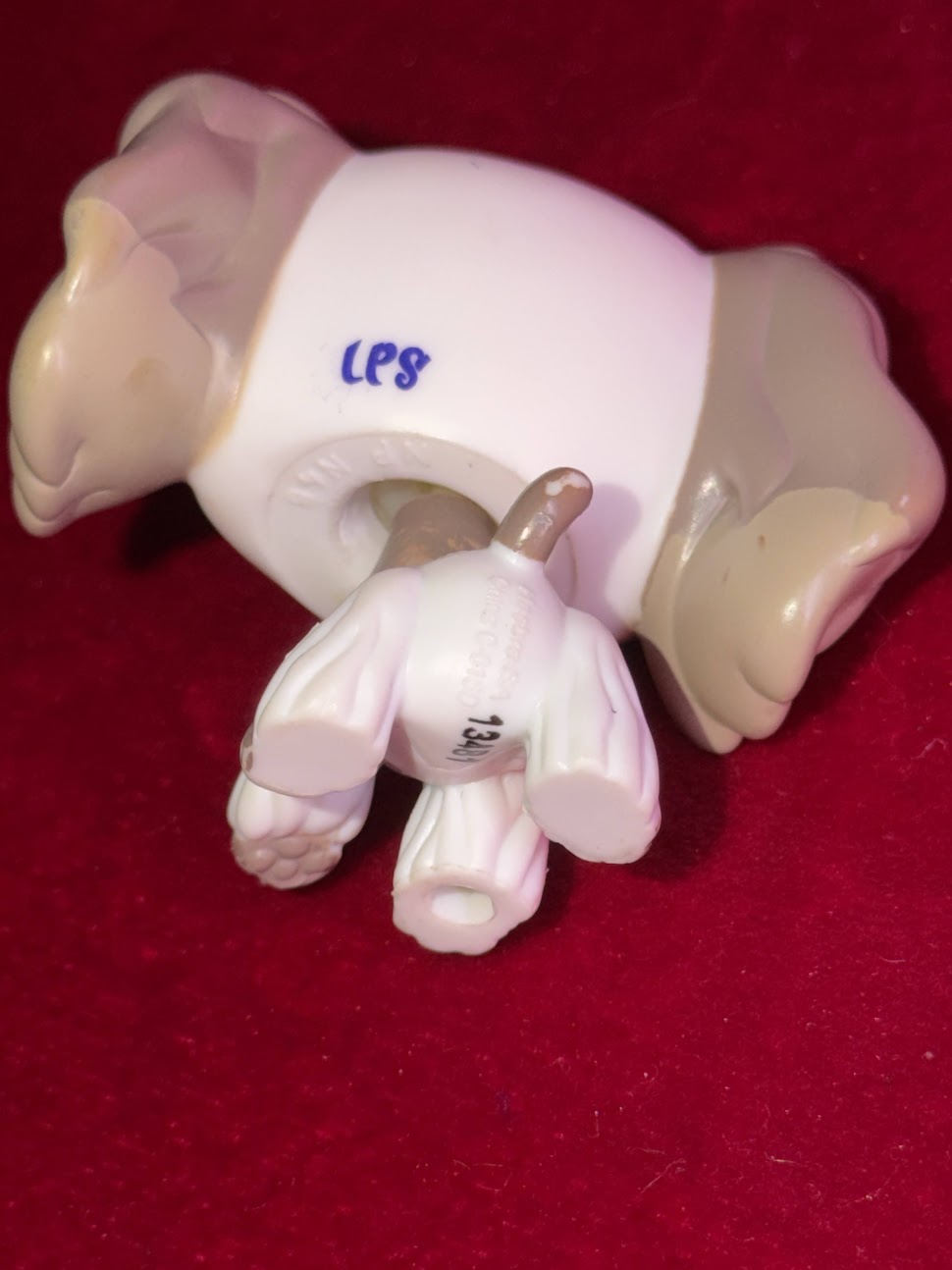 LPS #2254 Cocker Spaniel front view
