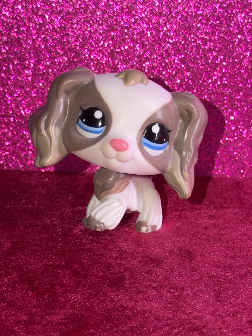 LPS #2254 Cocker Spaniel front close-up