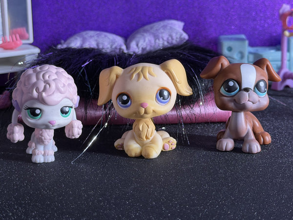 LPS 3 dog set front view with big eyes